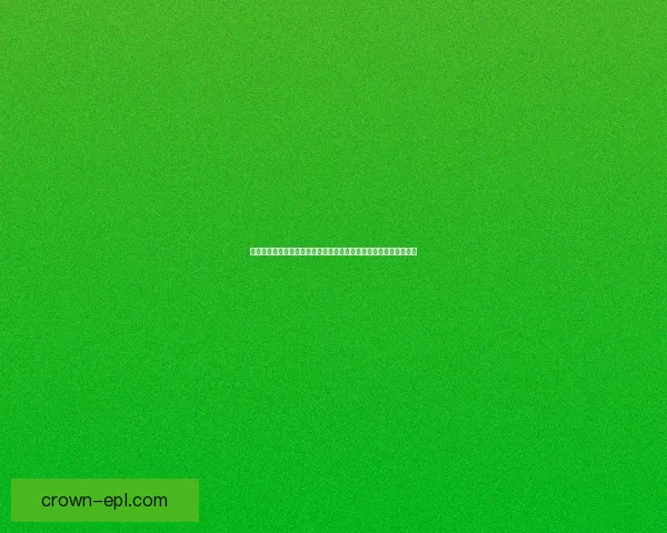 流浪武士加点策略与玩法解析：如何根据战斗需求优化角色成长路线